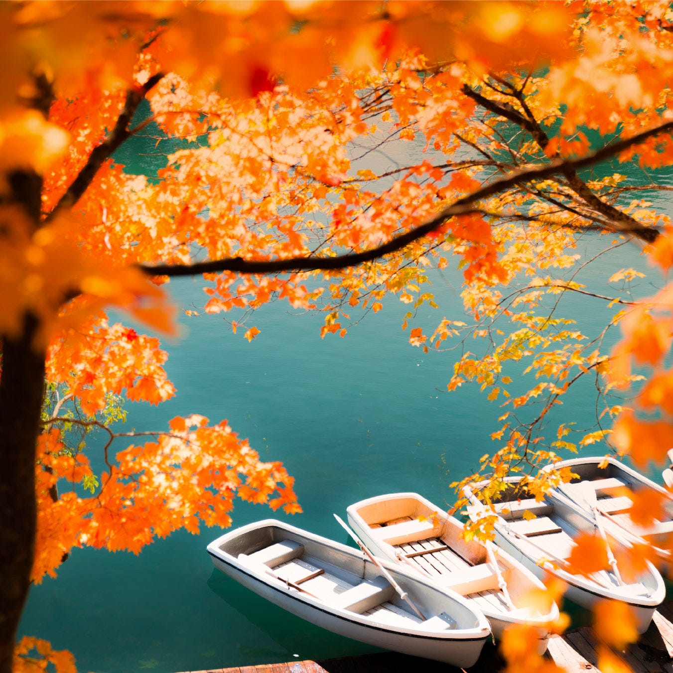 Alluring Autumn Outings: Fling into Mother Nature’s Warm Embrace
